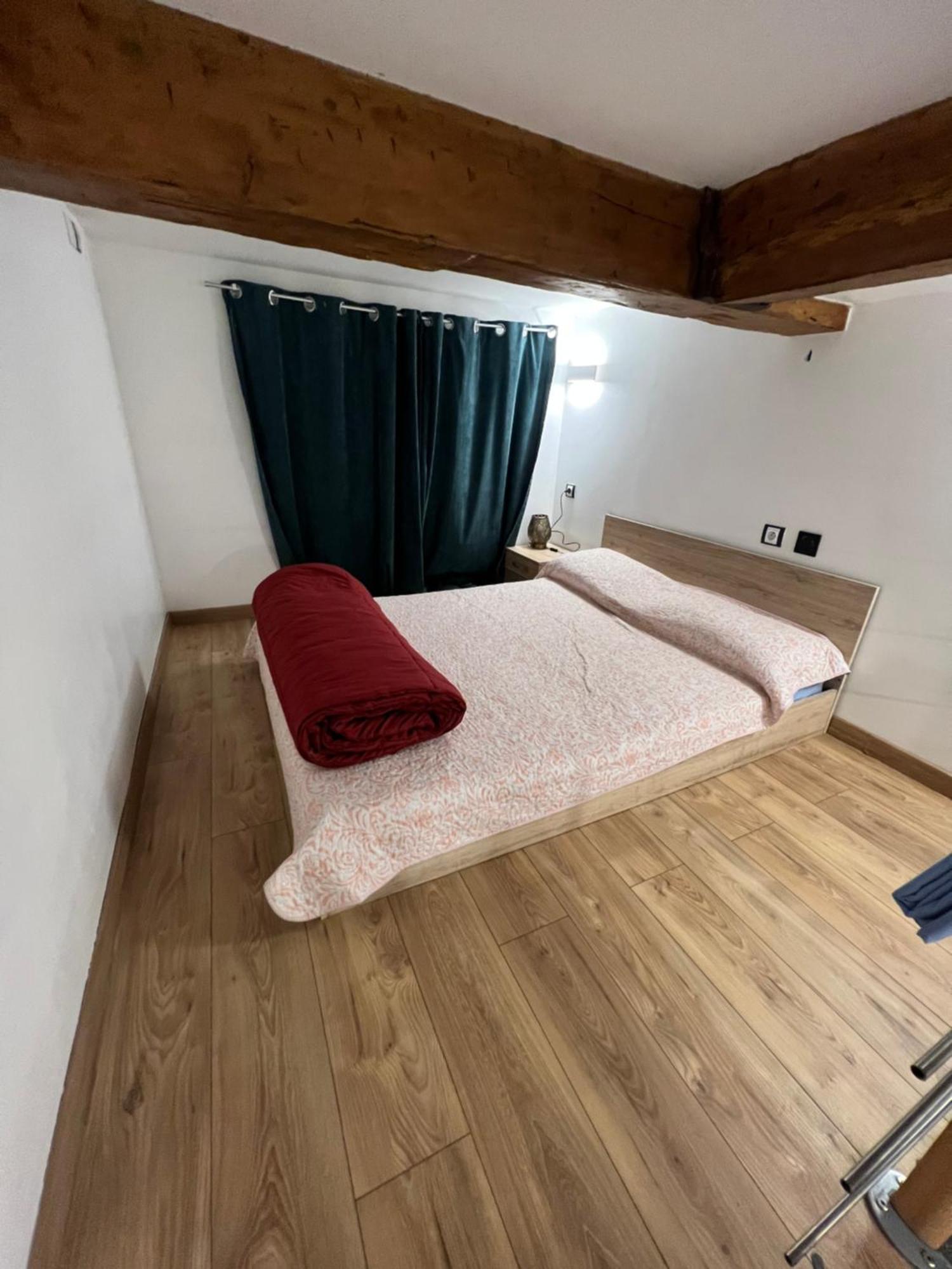 Jolie Studio Plein Centre Apartment *